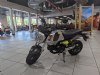 New 2023 Honda GROM - Cumberland - MD