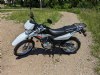 New 2024 Honda XR150L - Cumberland - MD