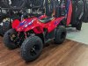 New 2024 Honda TRX90X - Cumberland - MD