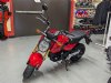 New 2025 Honda GROM - Cumberland - MD