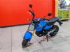 New 2025 Honda GROM - Cumberland - MD