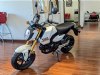 New 2025 Honda GROM - Cumberland - MD