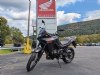 New 2024 Honda Transalp - Cumberland - MD