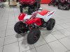 New 2024 Honda TRX250X - Cumberland - MD